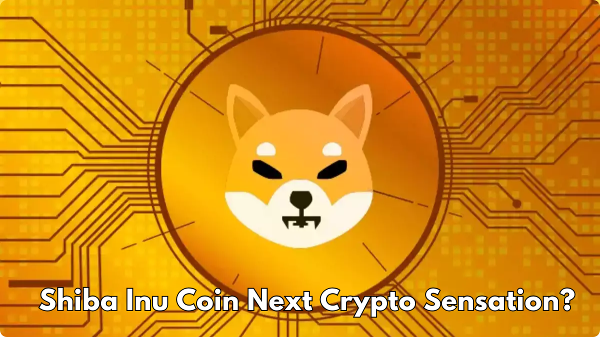 Shiba Inu Coin